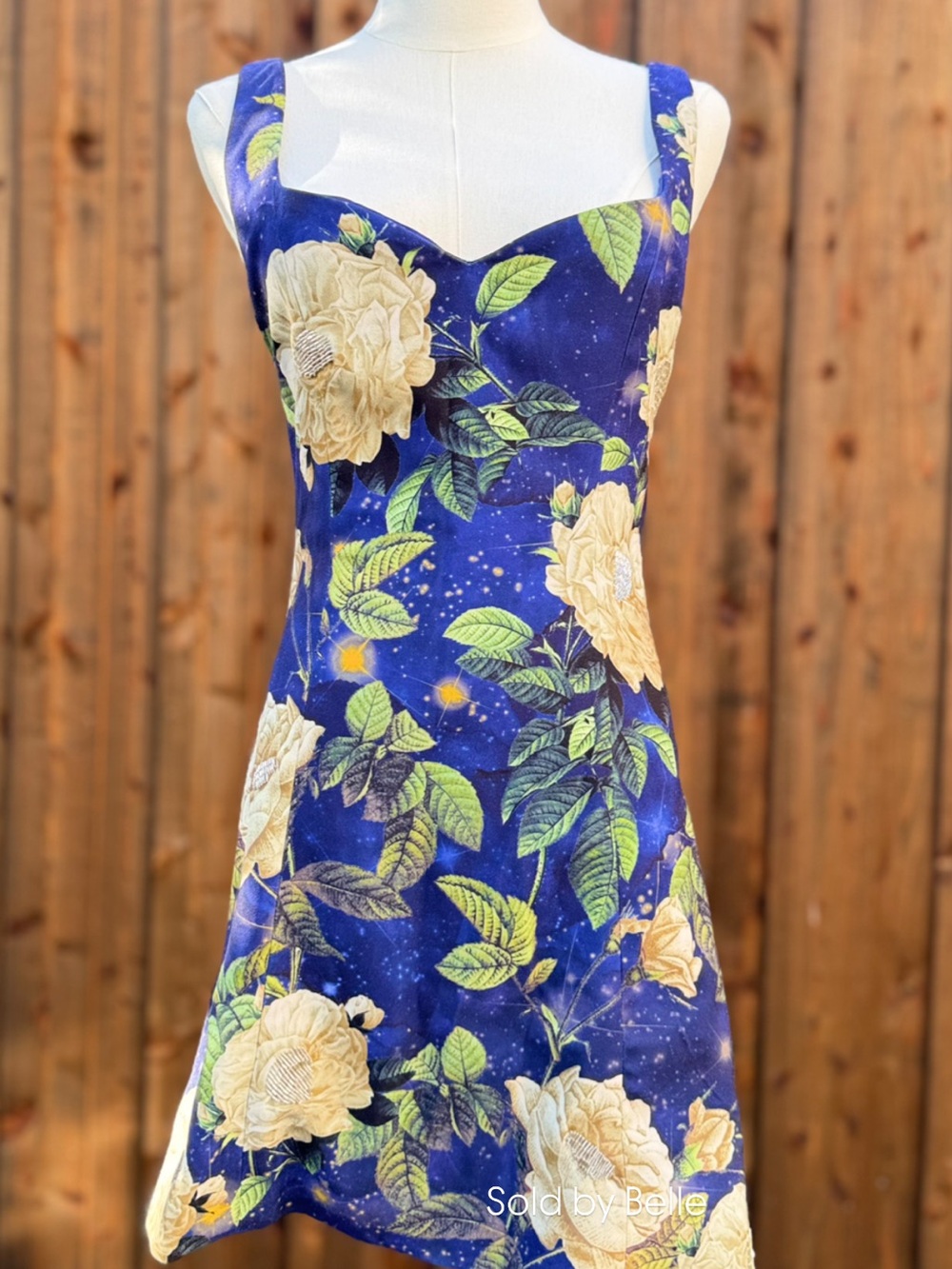 NWT Alice + Olivia Eve Sweetheart Embellished Dress Twilight Eden Size 6